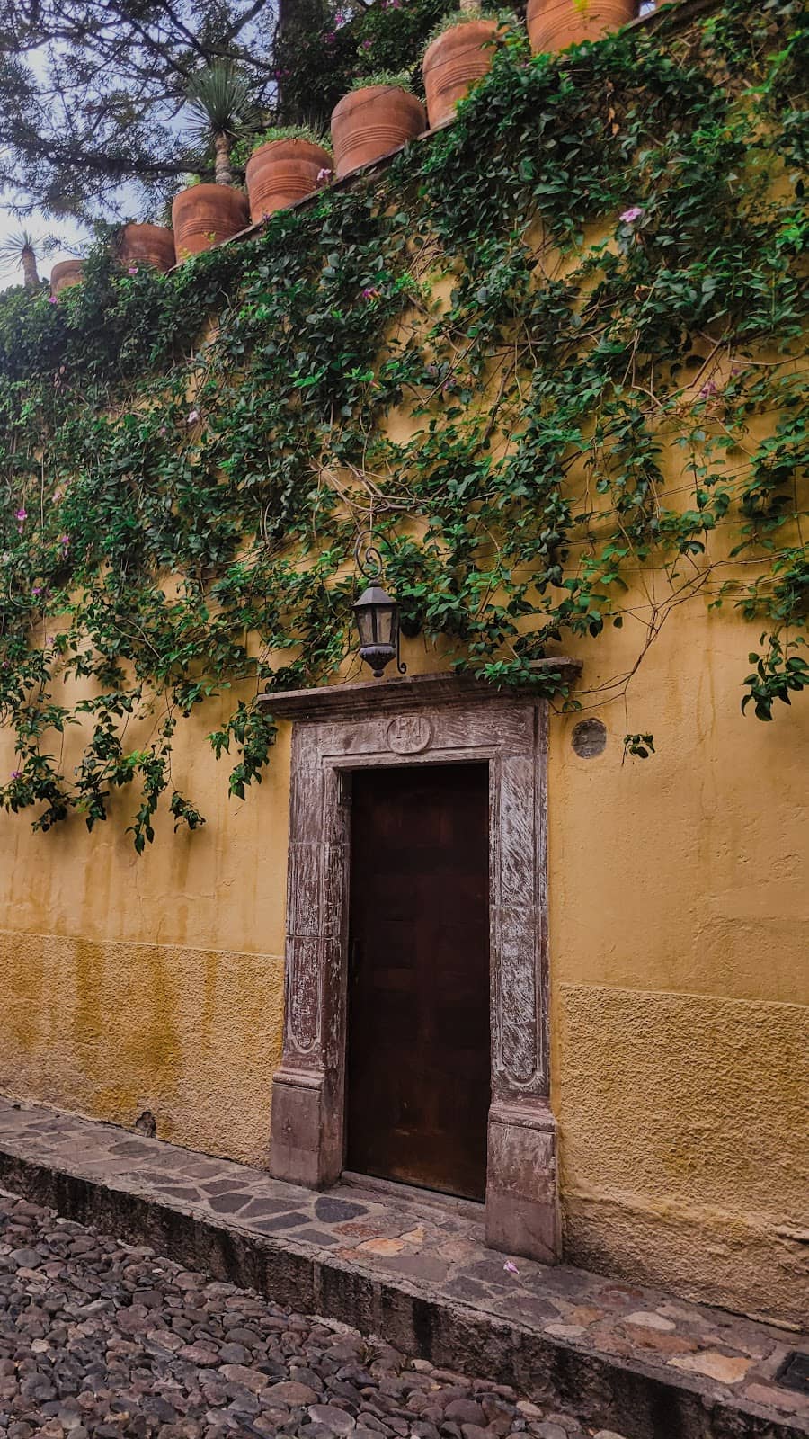 Vertical photo