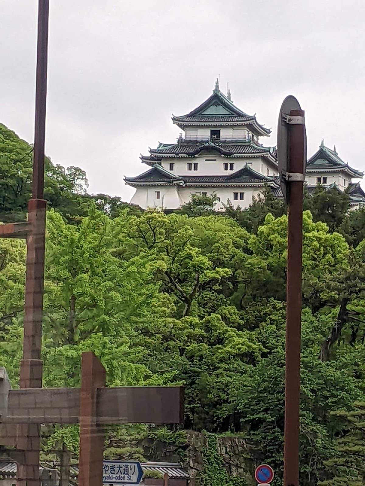 Vertical photo
