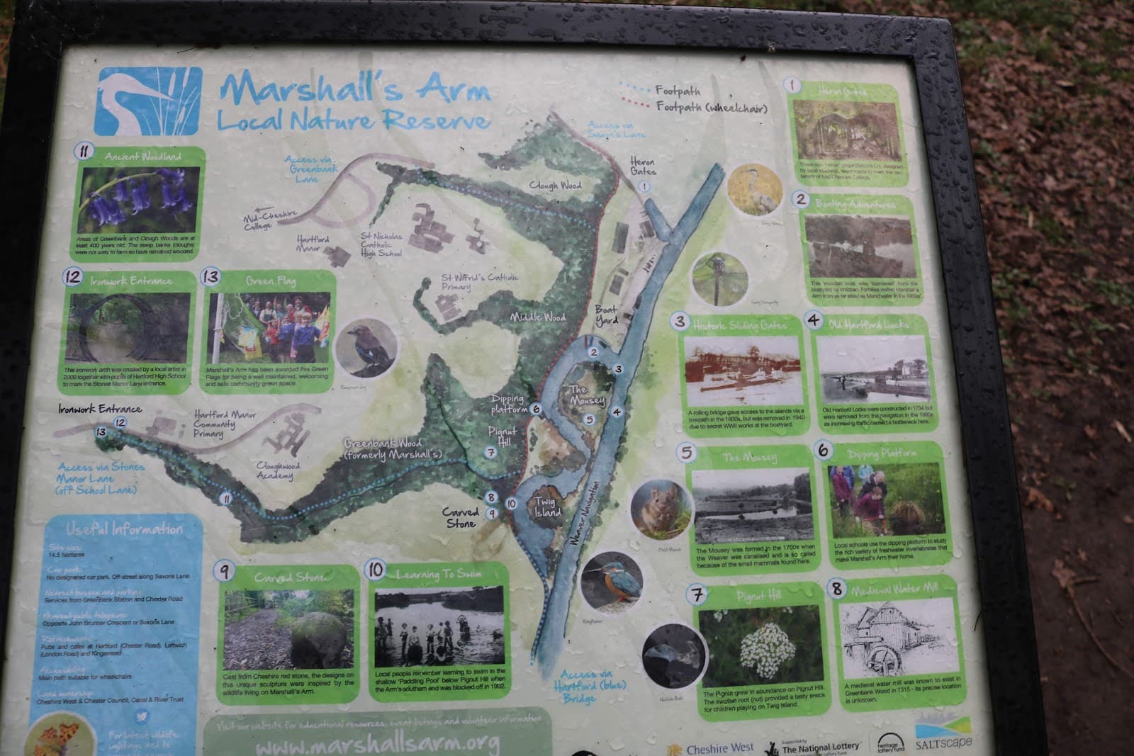 Marshalls Arm Local Nature Reserve - Image 1