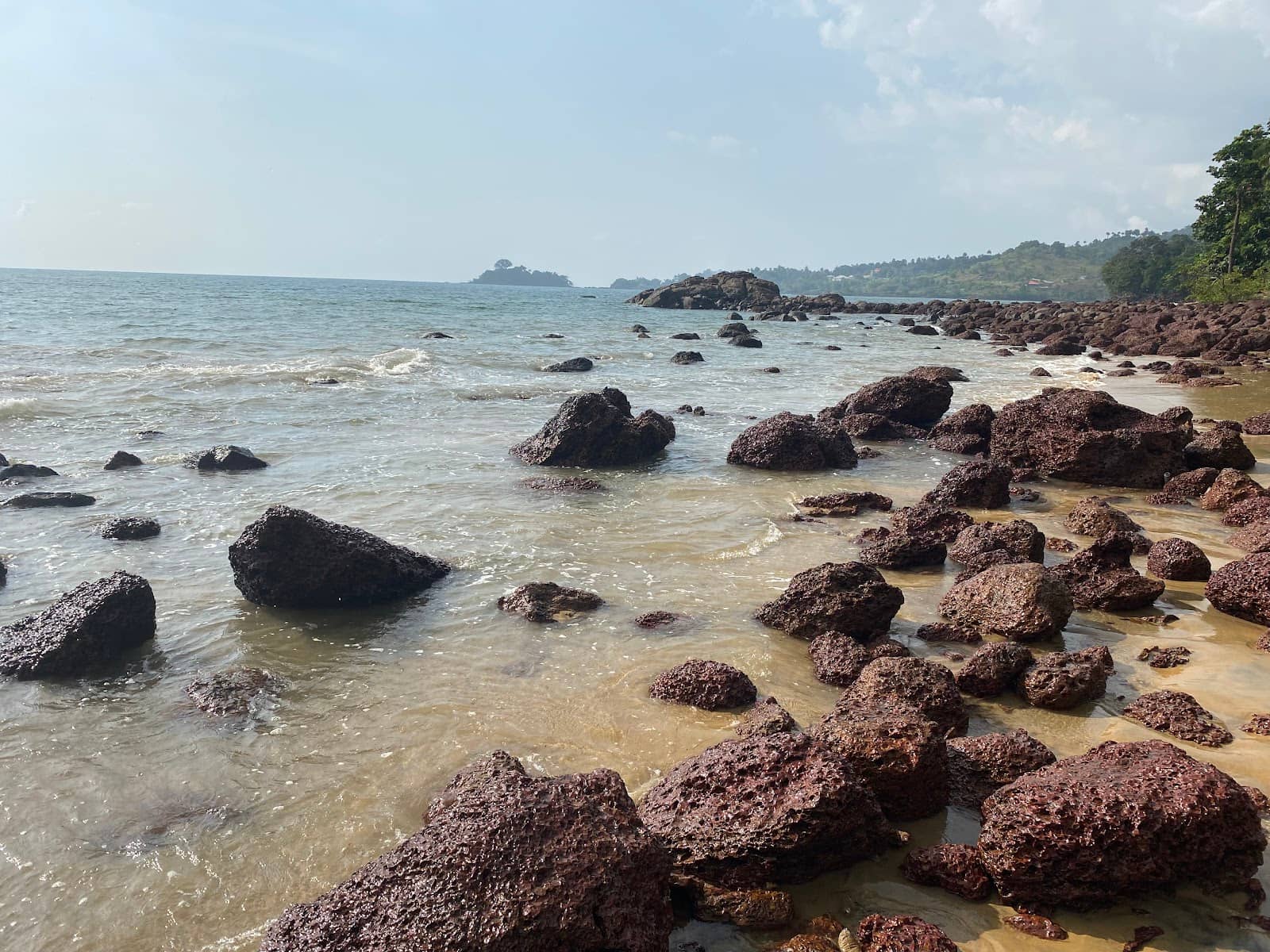 Relaxed Rasta Paradise