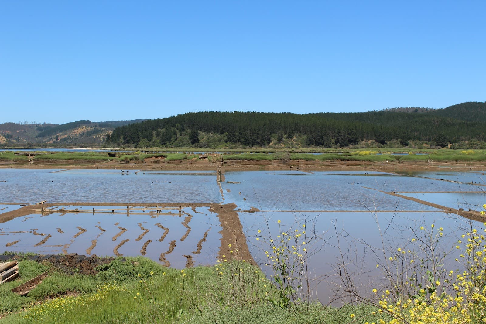 Salinas de Cáhuil - Image 1