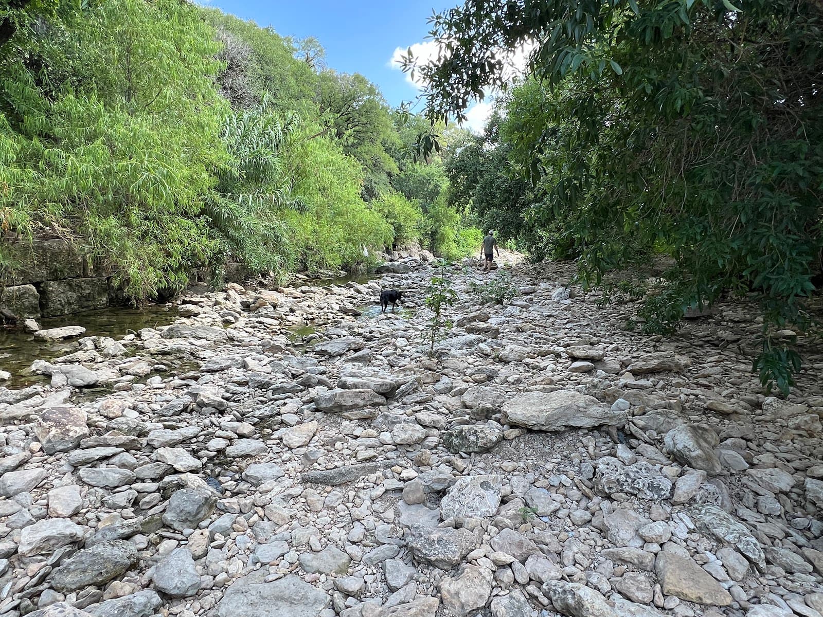 Shoal Creek Trail - Image 1