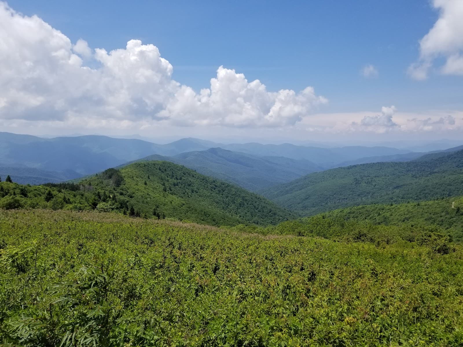 Tennent Mountain - Image 1