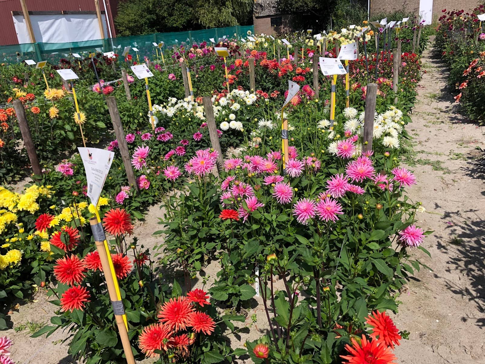 Dune and Sea Landscapes
