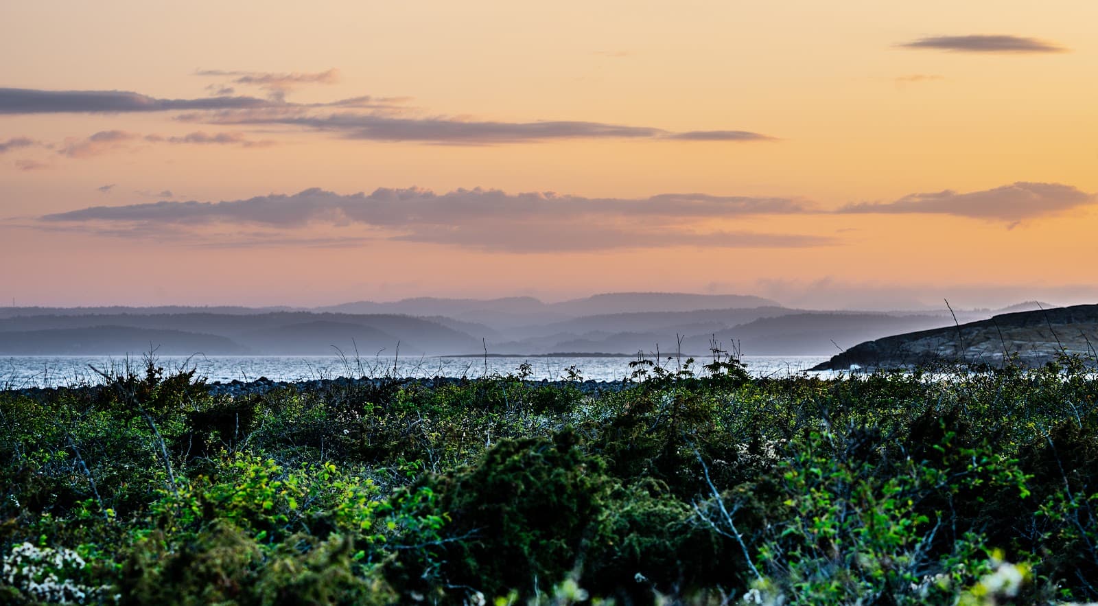 Brunlanes Coastal Path (Kyststien) - Image 1