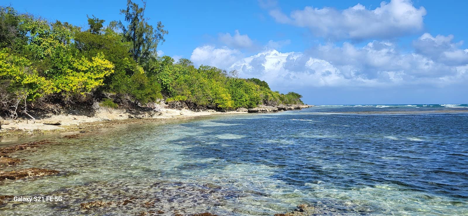 Tranquil Coastal Walk