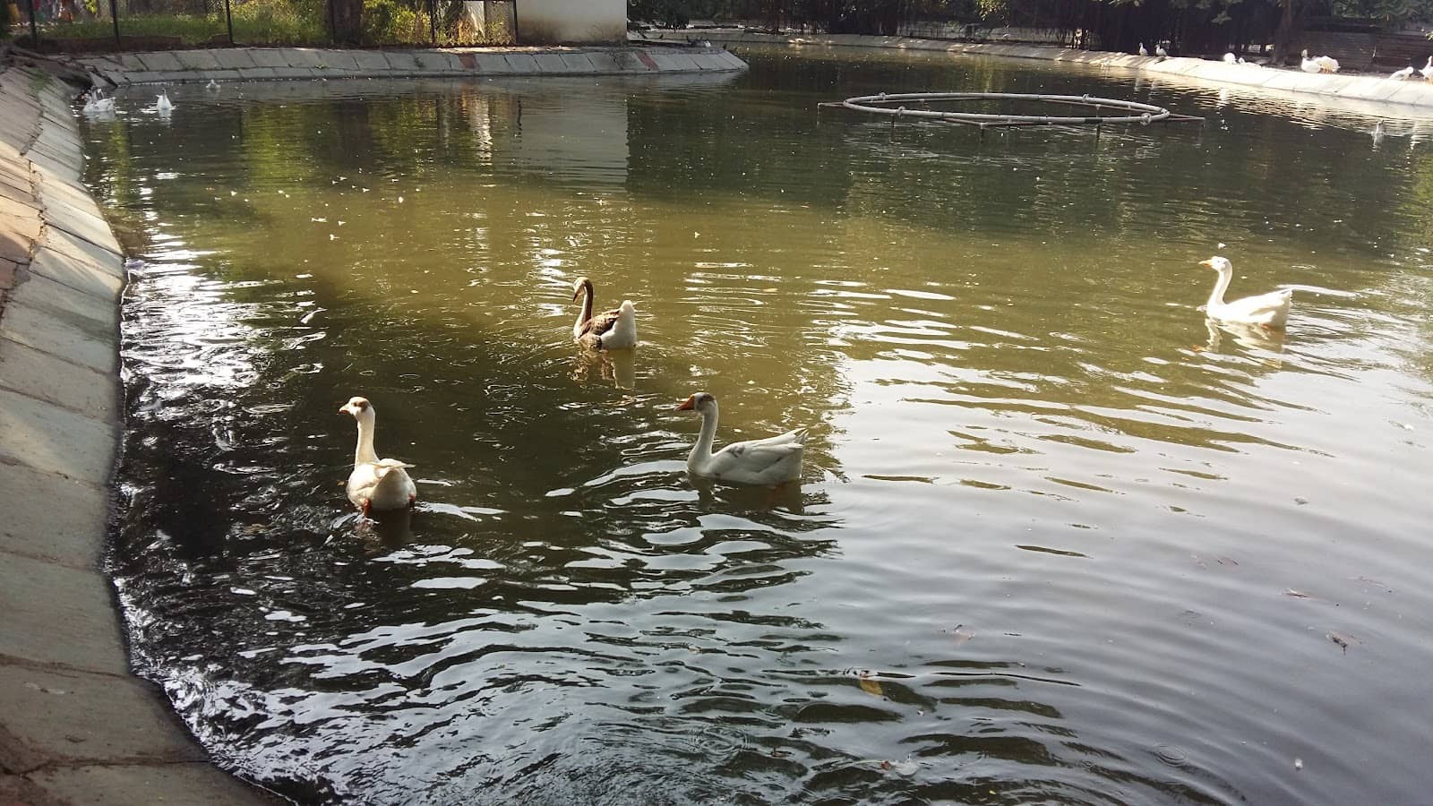 Reptile House Wonders