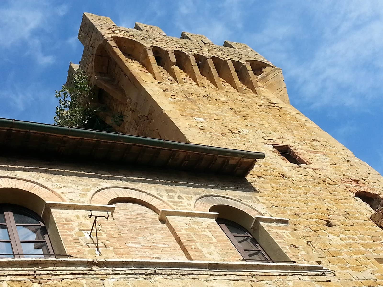 Vertical photo