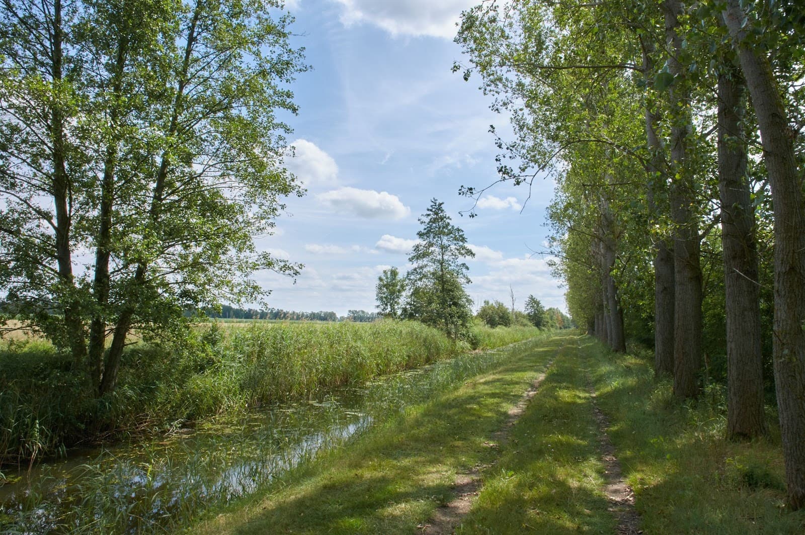 Drömling National Park - Image 1