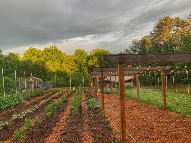 Educational Workshops