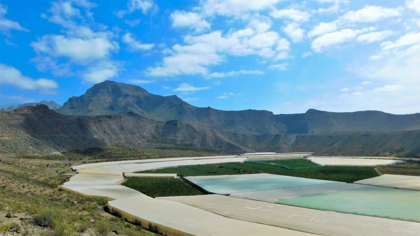 Roque del Conde Backdrop