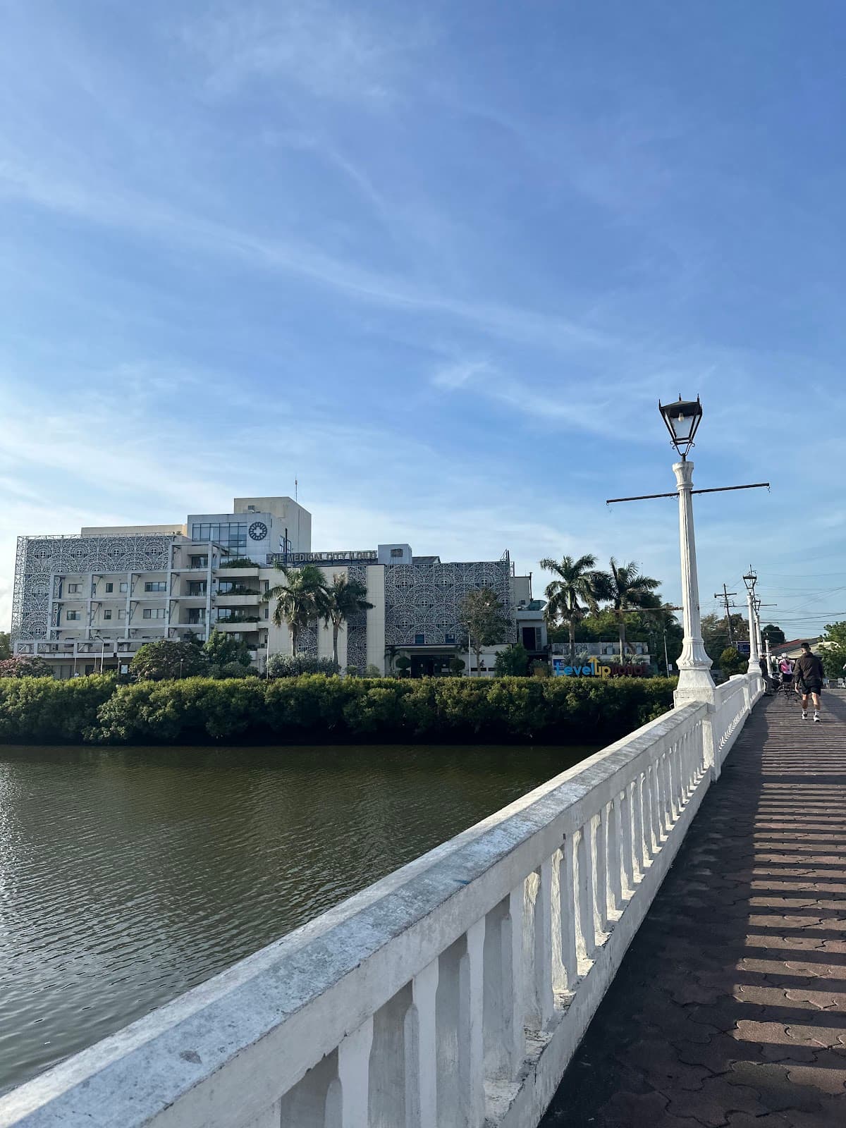 Carpenter Bridge - Image 1