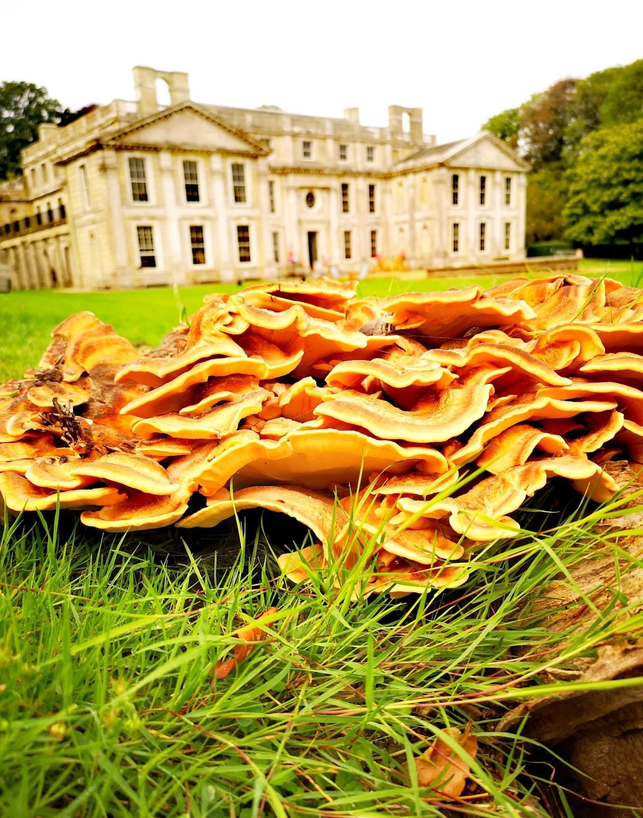 Wroxall Isle of Wight - Image 1