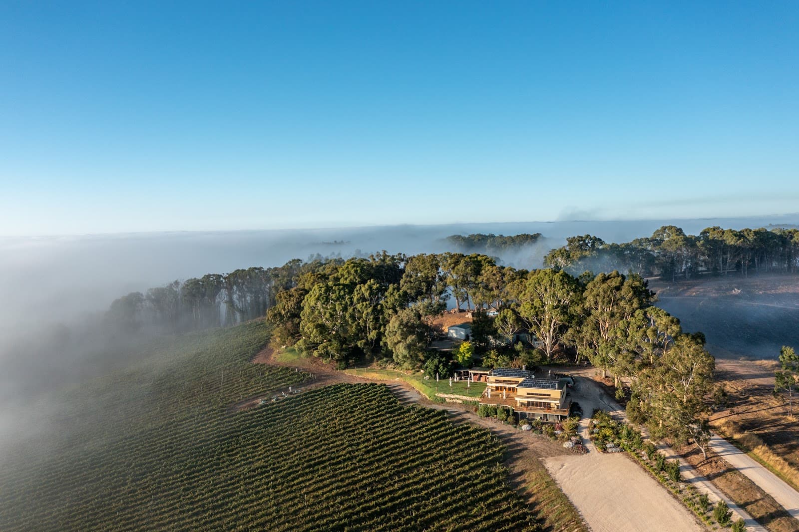 Anderson Hill Wines - Image 1