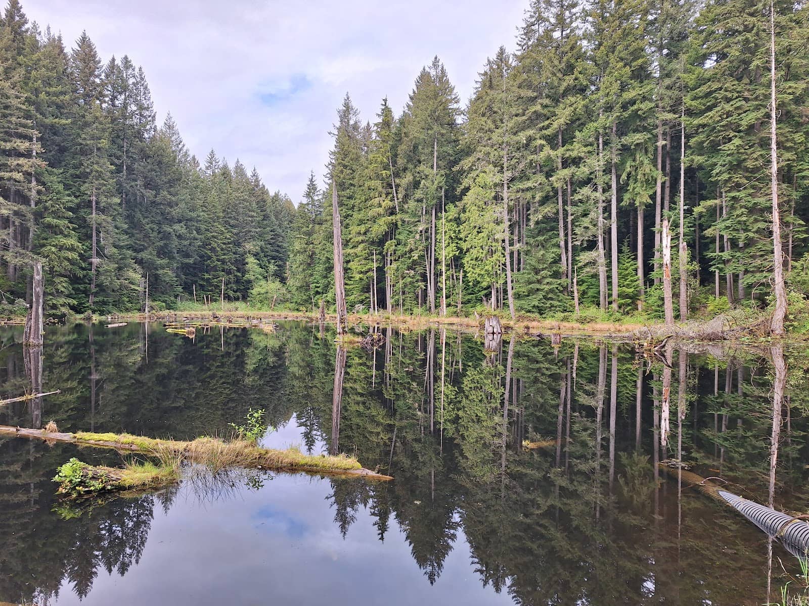 Puget Power Pipeline Route