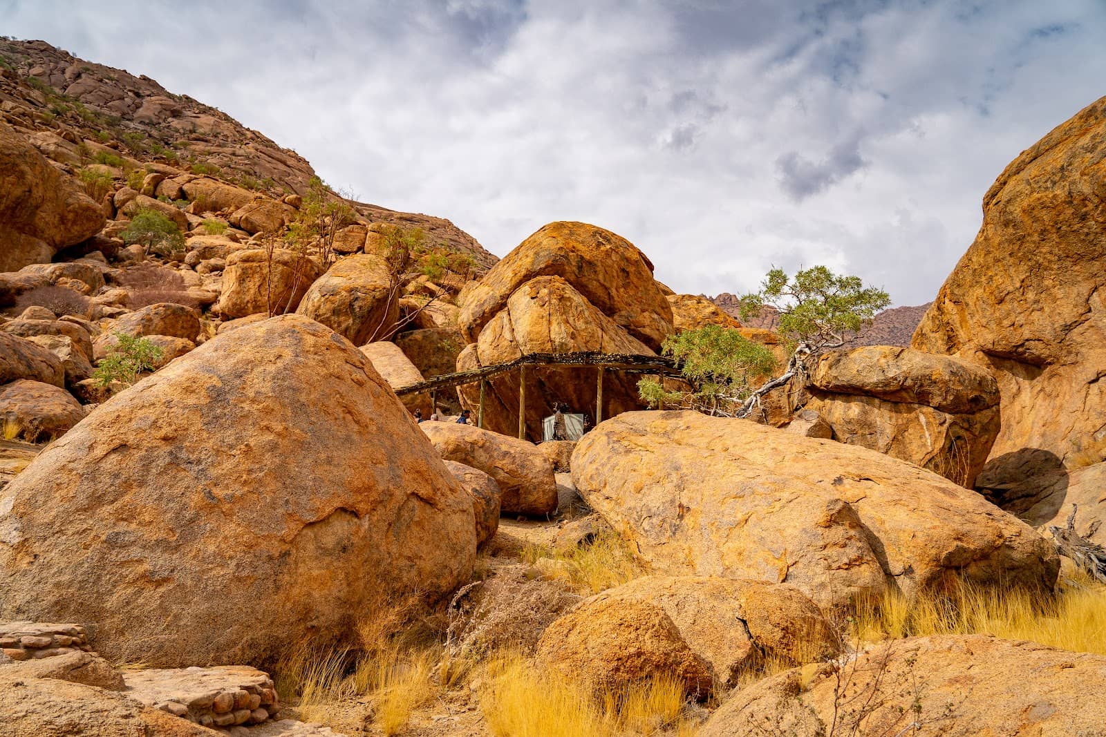 Local Flora and Fauna