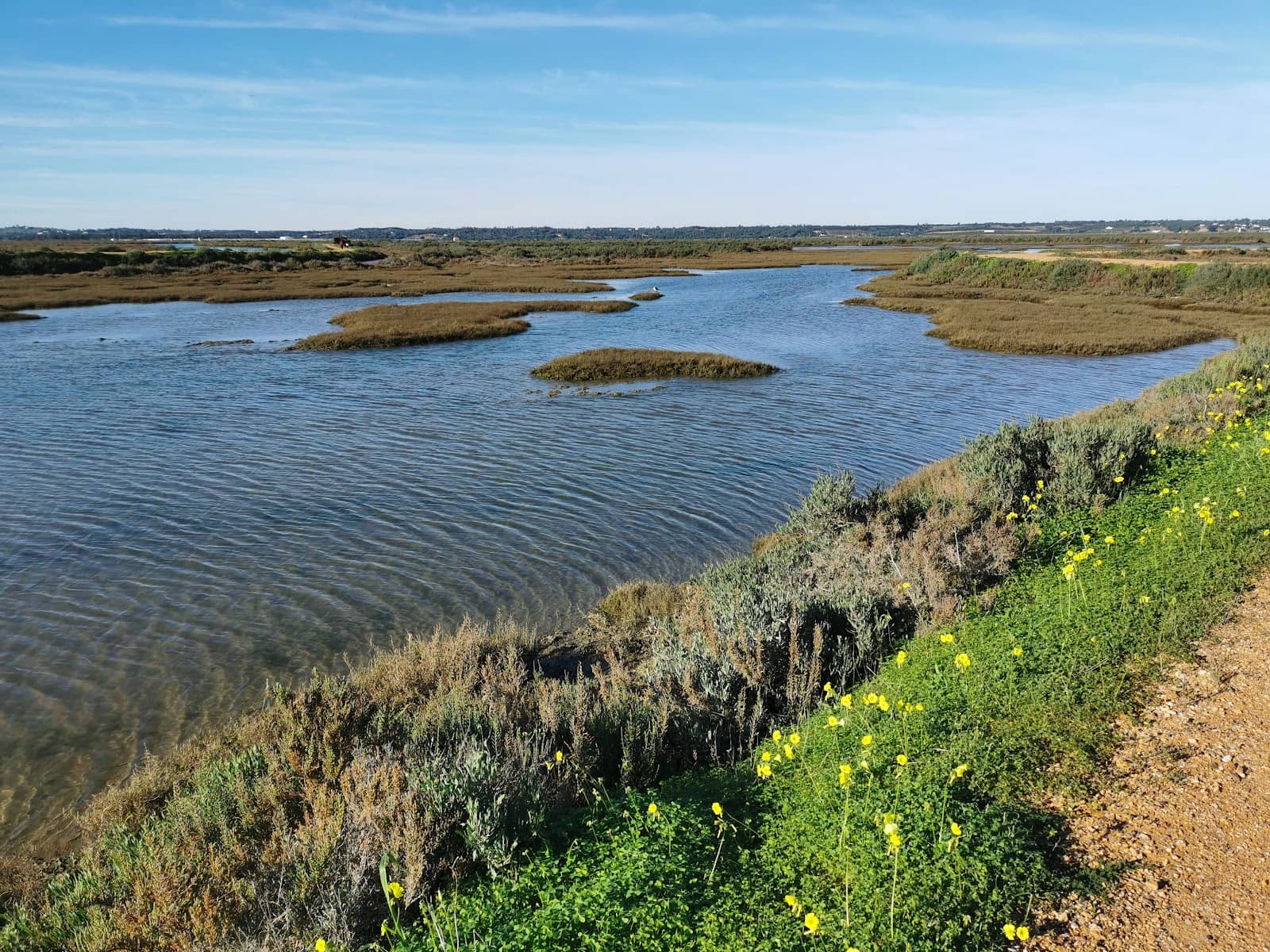 Salt and Fishery Farms