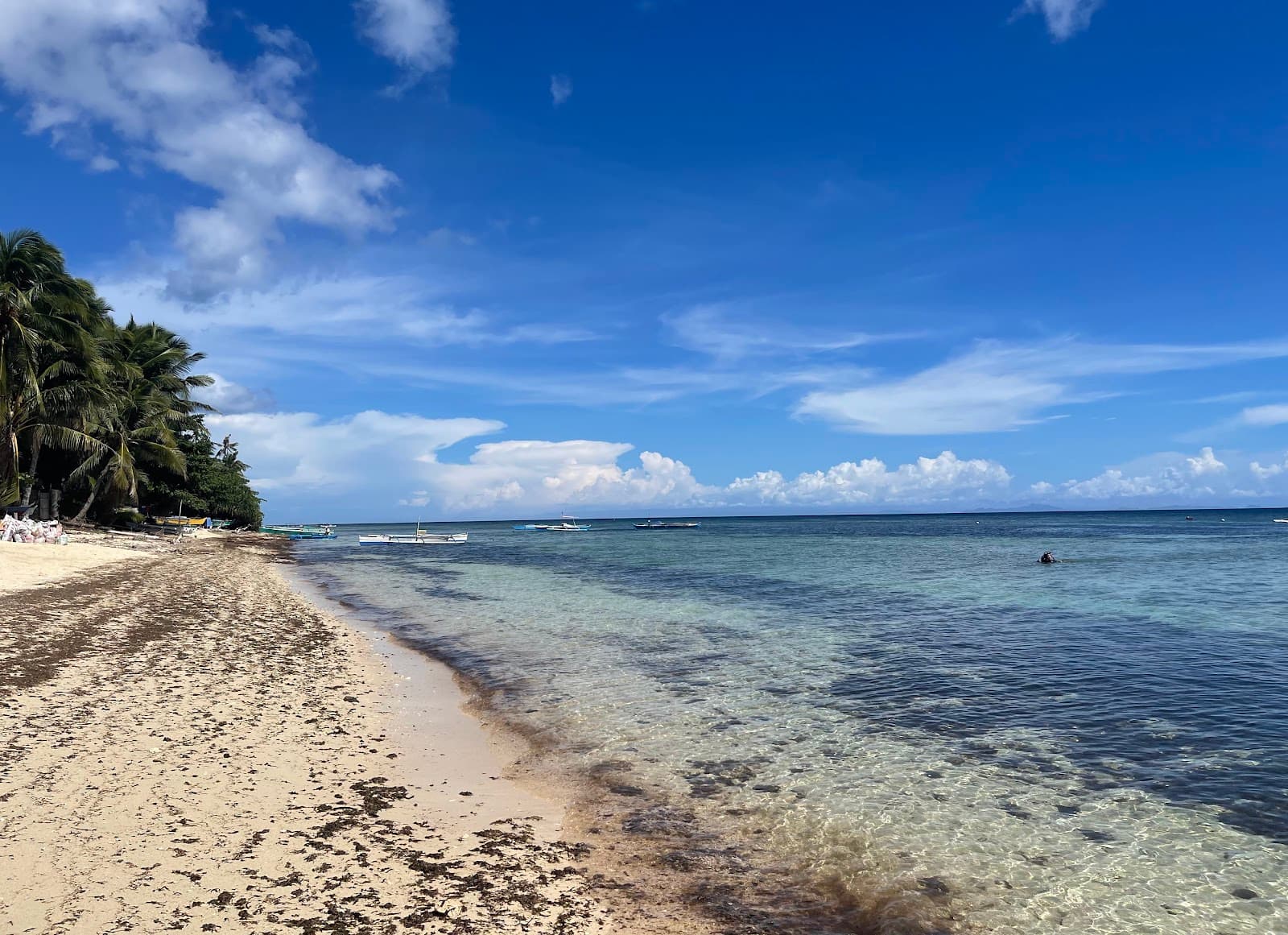 Siquijor Marine Sanctuary Siquijor - Image 1
