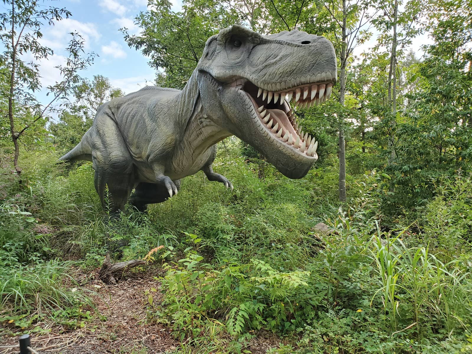 Fossil Preparation Room