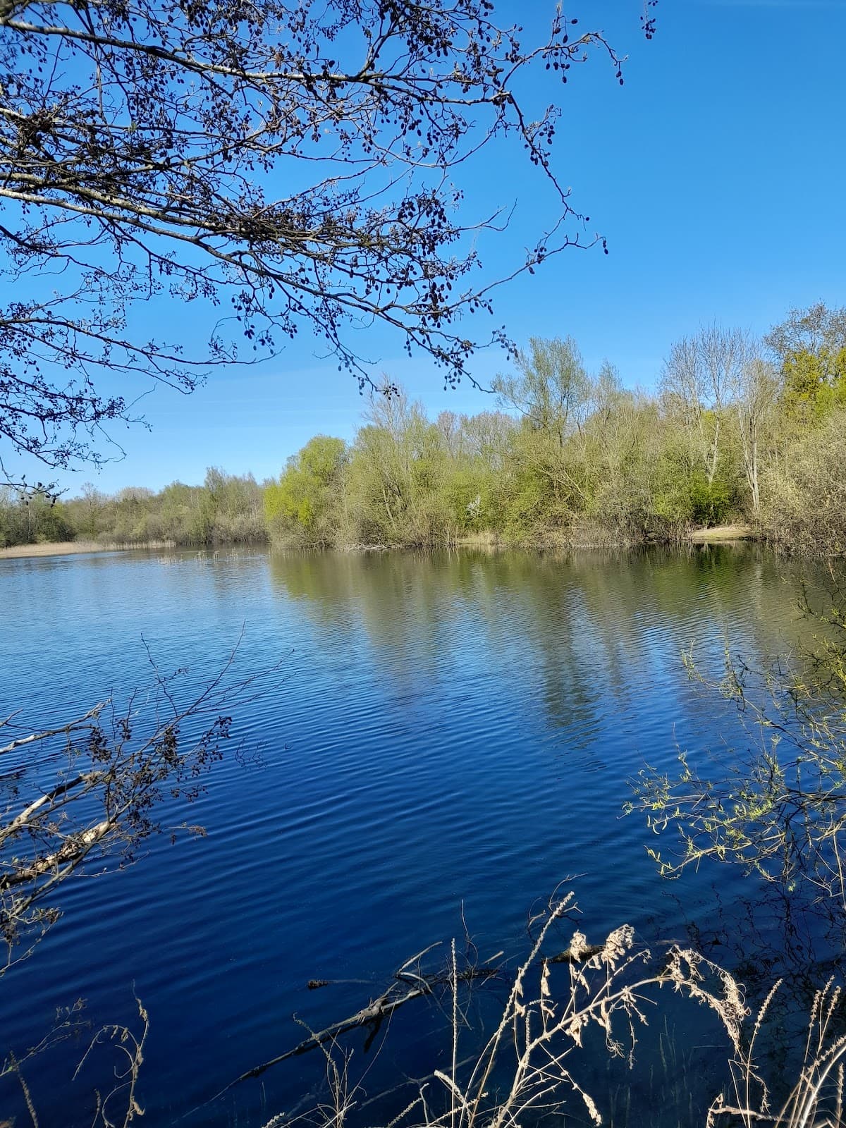 Paxton Pits Visitor Centre - Image 1