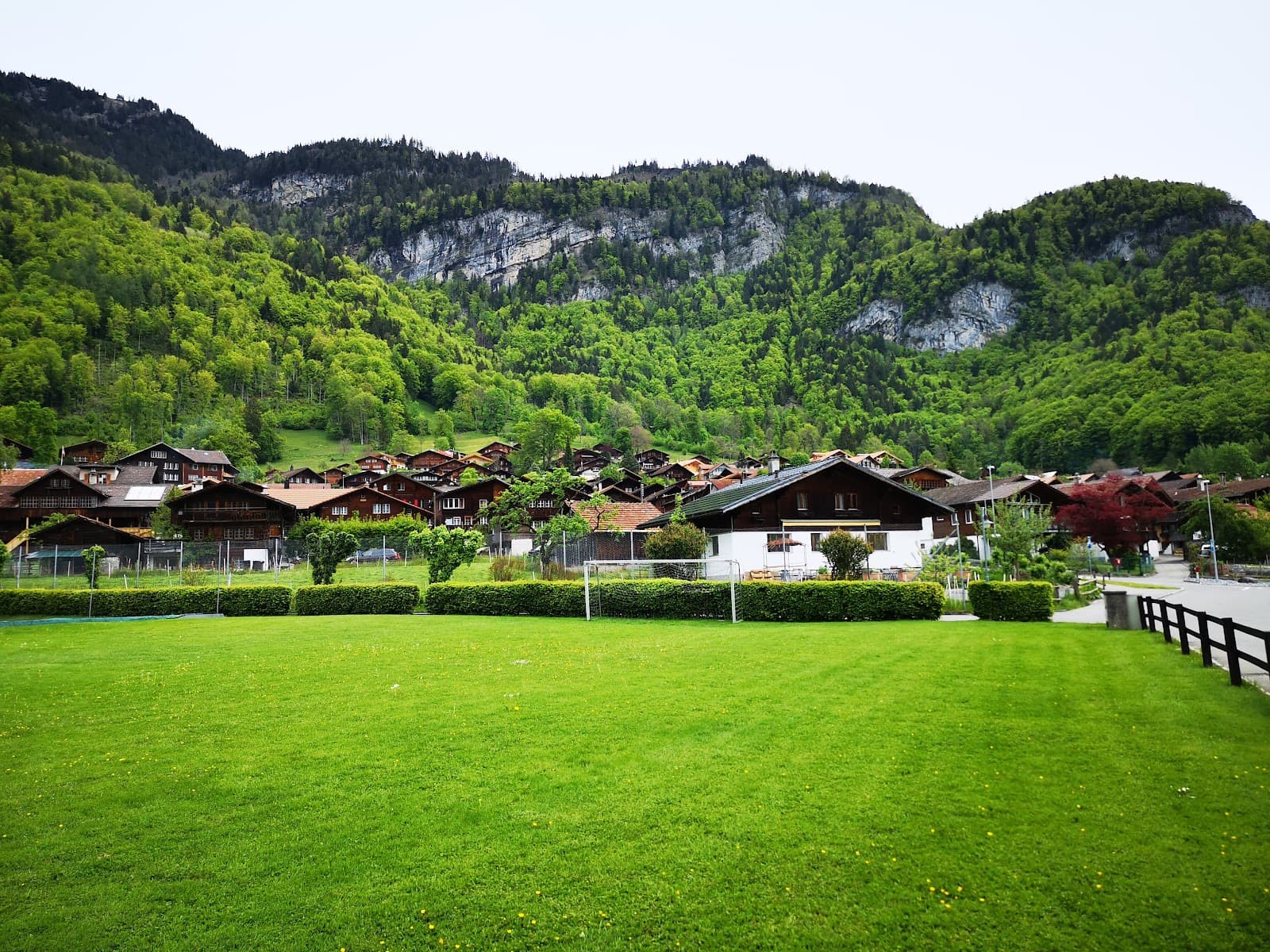 Brienzwiler village - Image 1