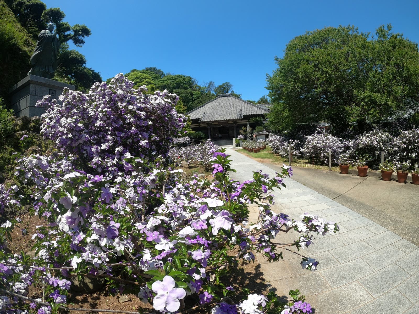 Ryosen-ji Temple Shimoda - Image 1