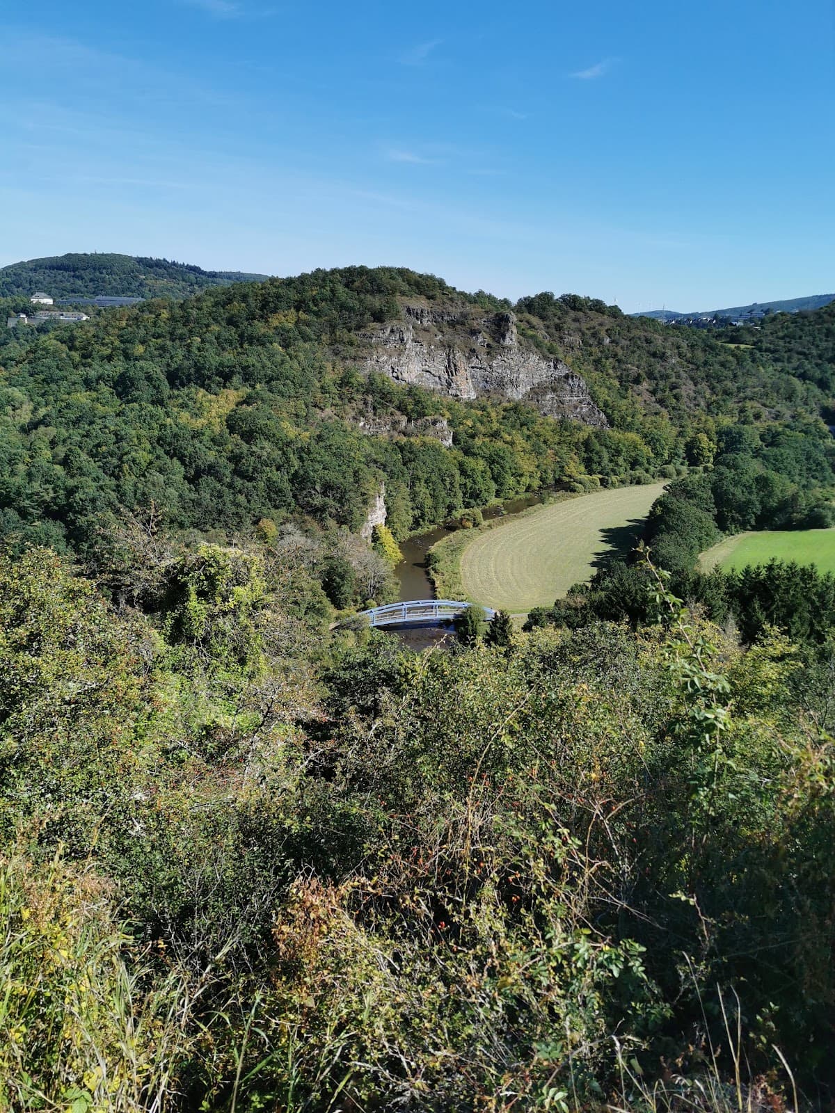 Kammerwoog Park - Image 1