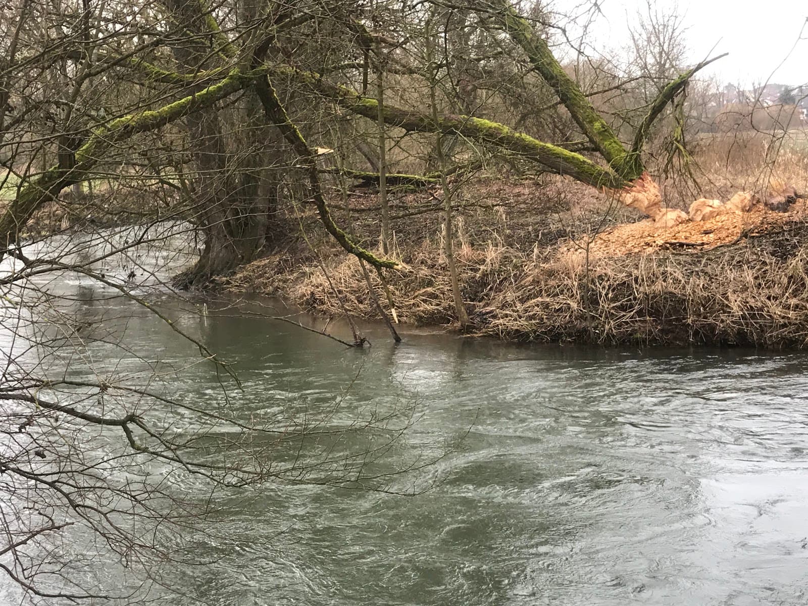 Itz River Promenade - Image 1