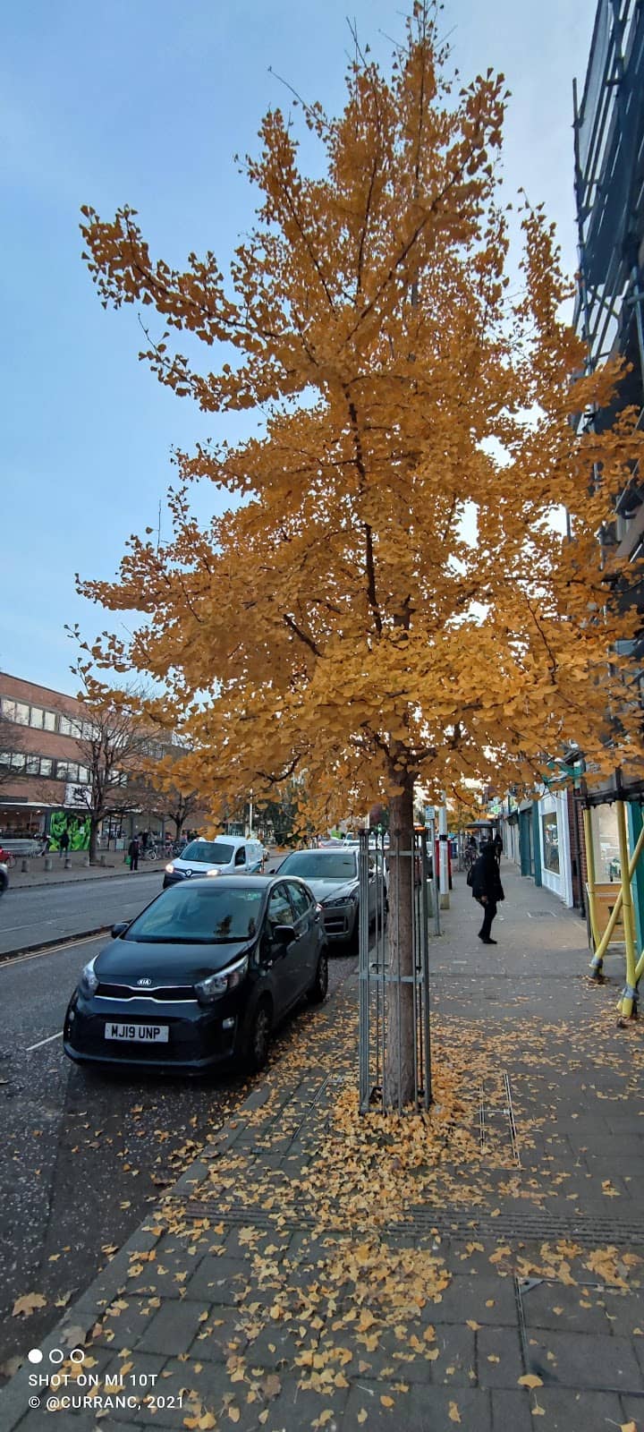 Proximity to Oxford City Centre