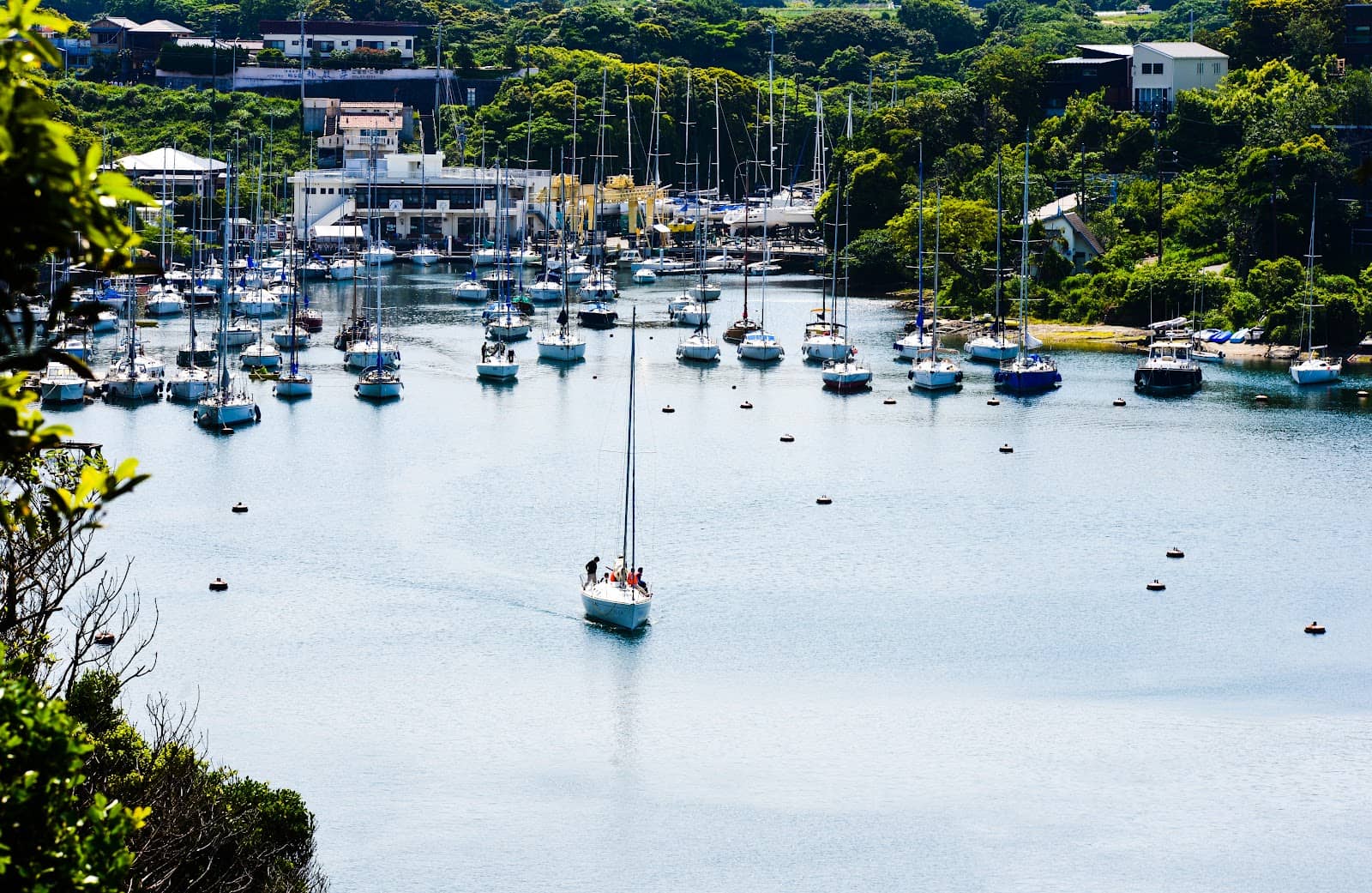 Birdwatching Paradise