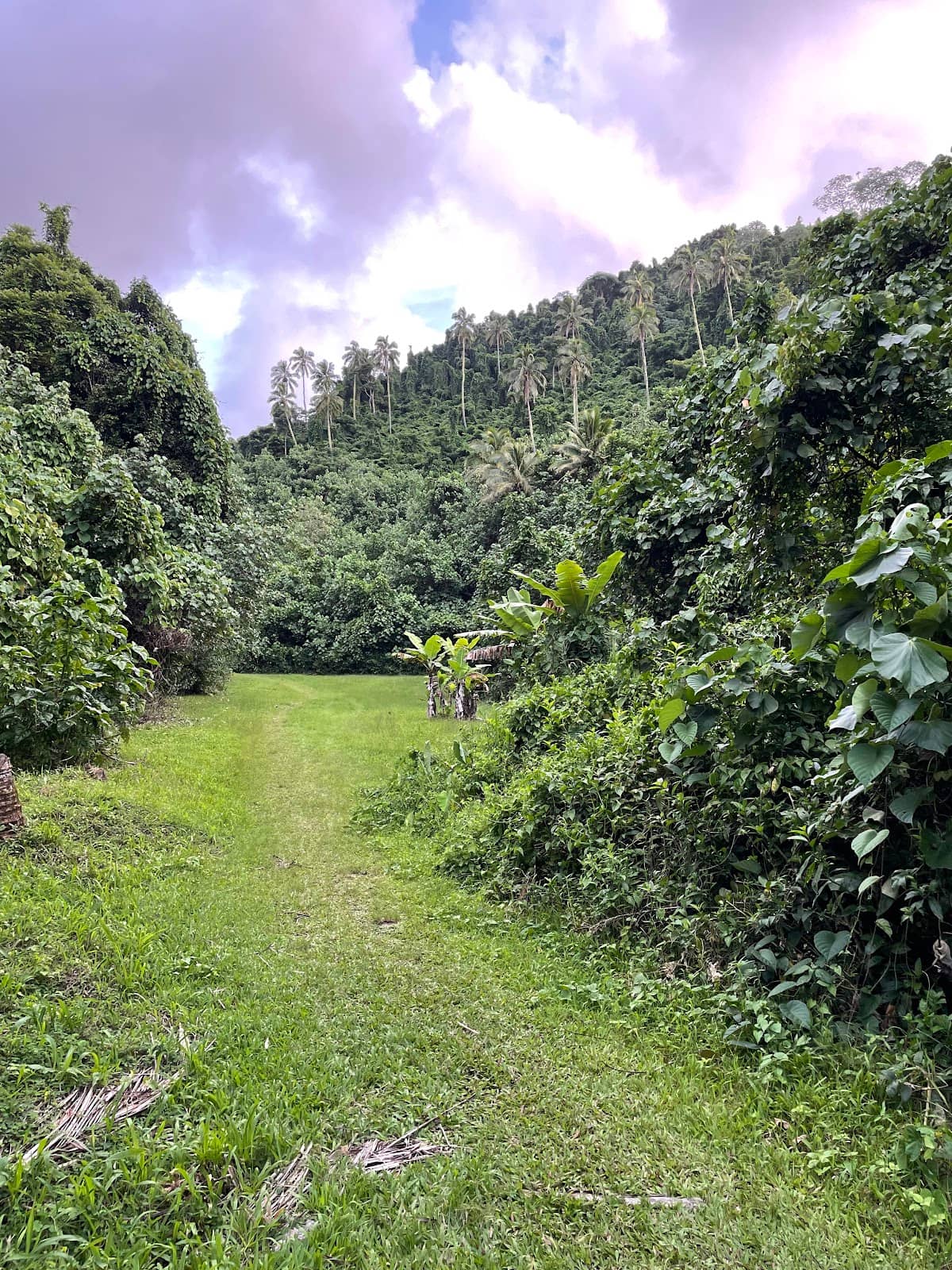 Panoramic Island Views