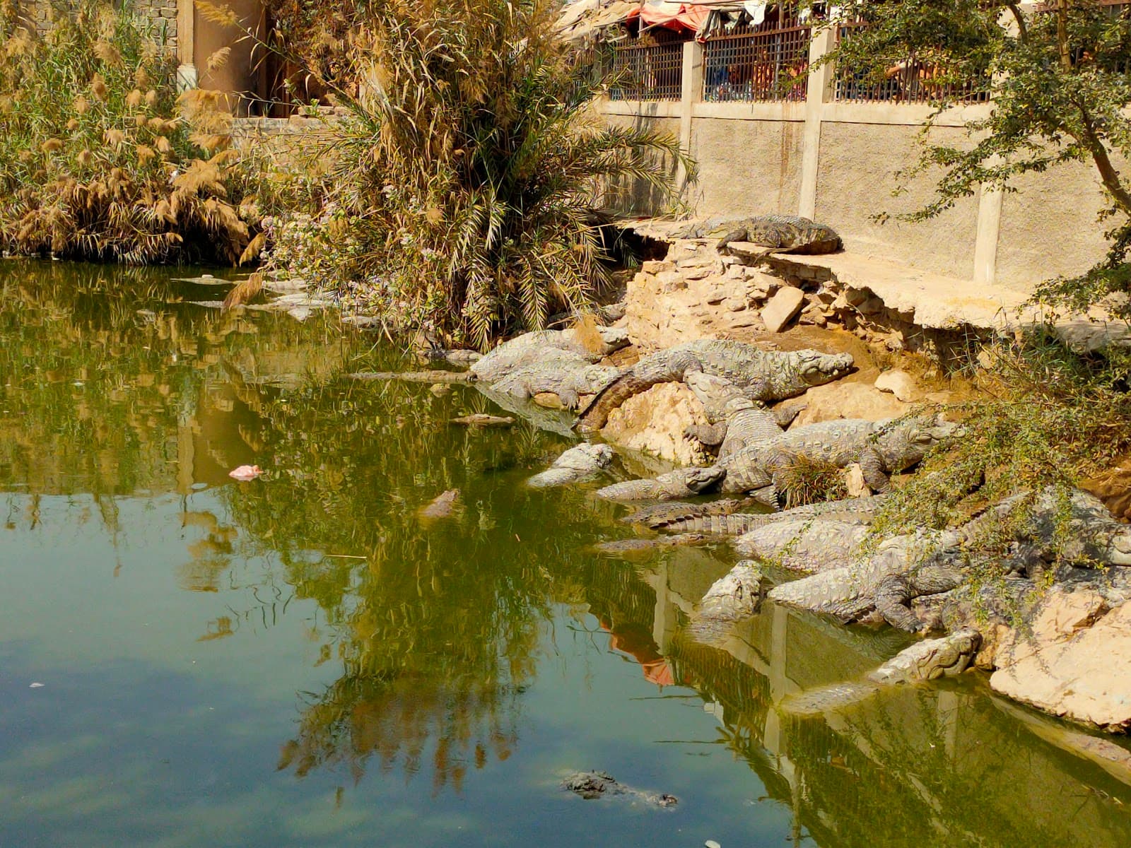 Manghopir Shrine and Crocodile Pond Karachi Pakistan - Image 1