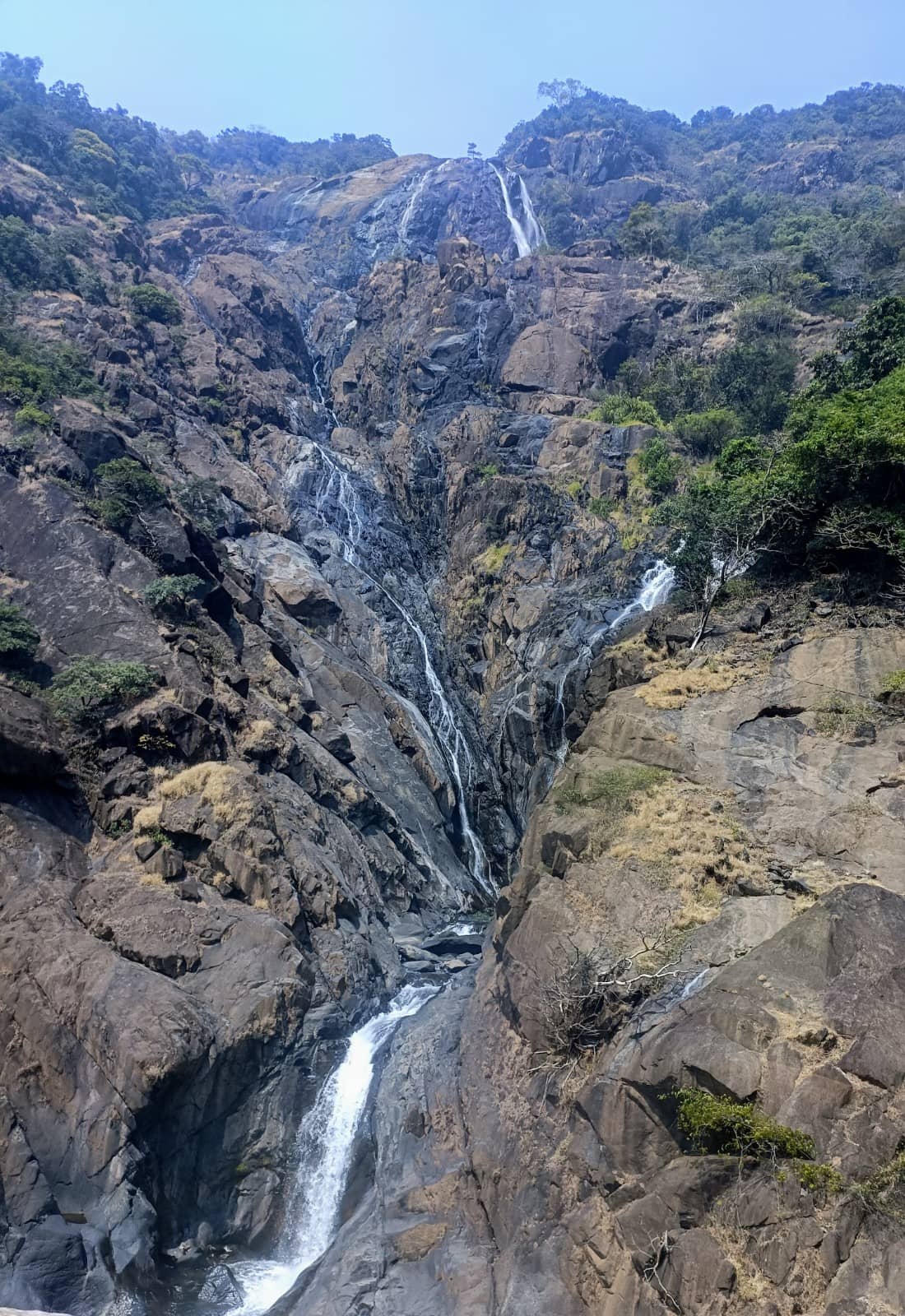 Vertical photo