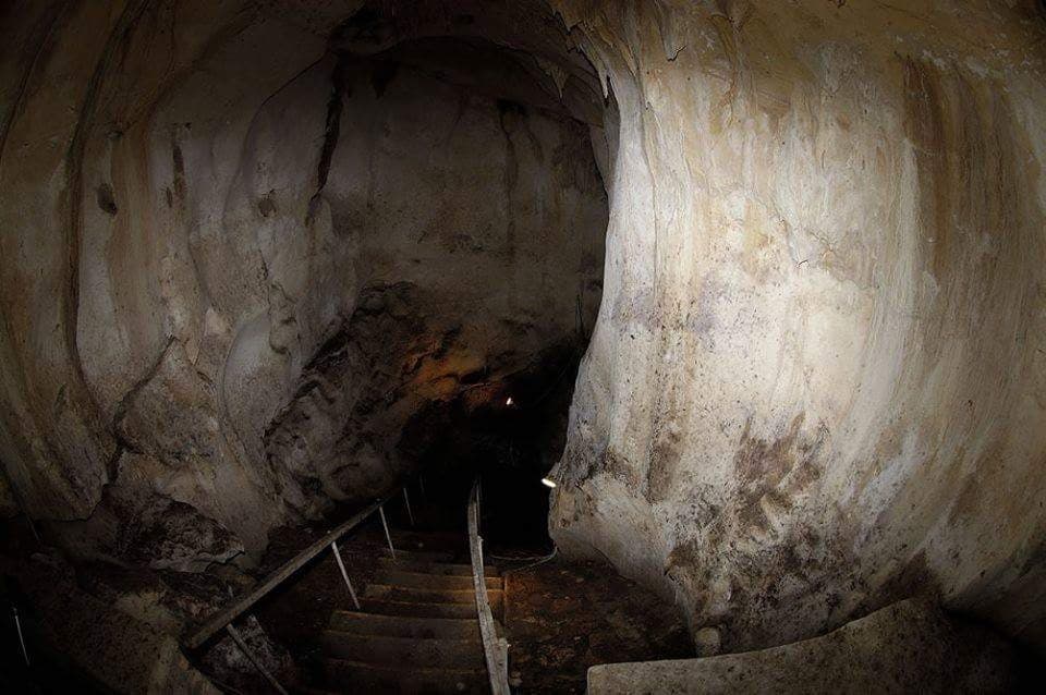 Nonsuch Caves and Athenry Gardens - Image 1