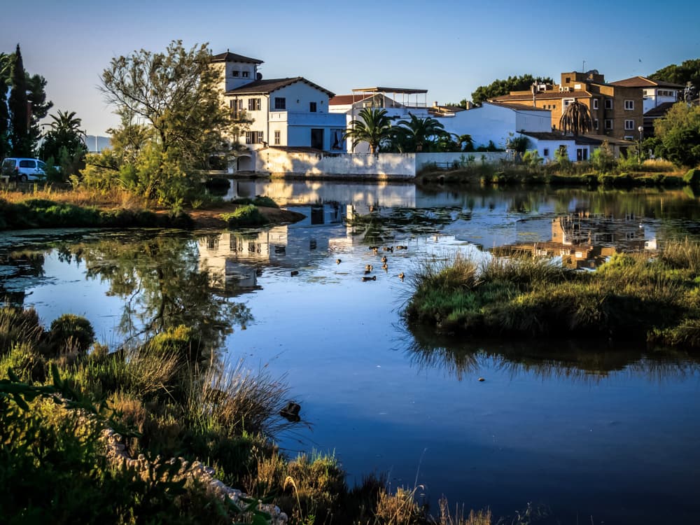 La Gola Nature Reserve - Image 1