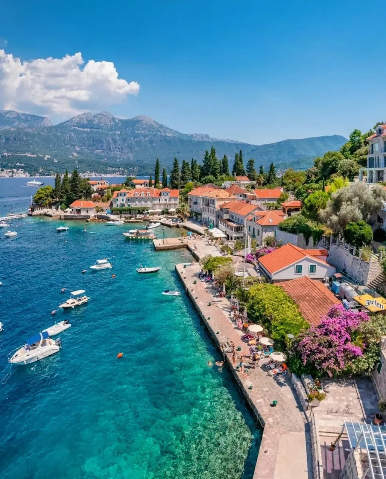 Rose village - Image 1