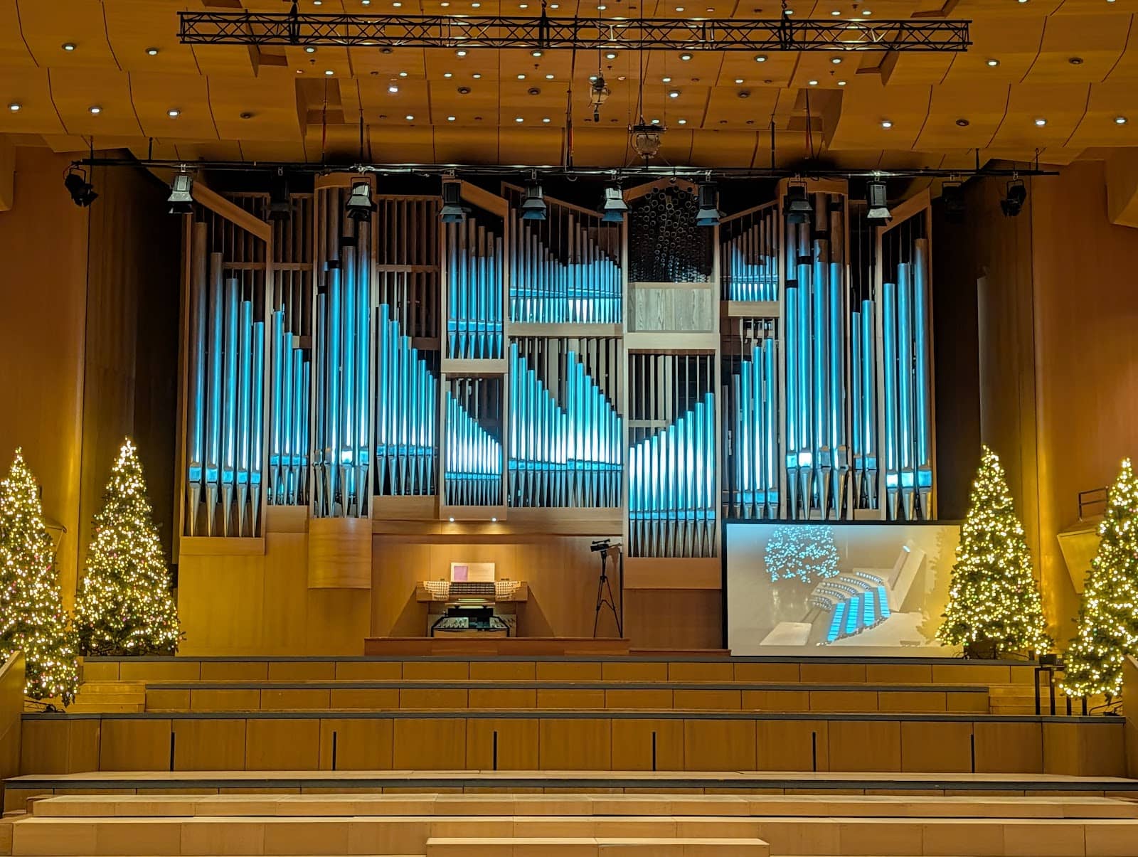 International Conferences