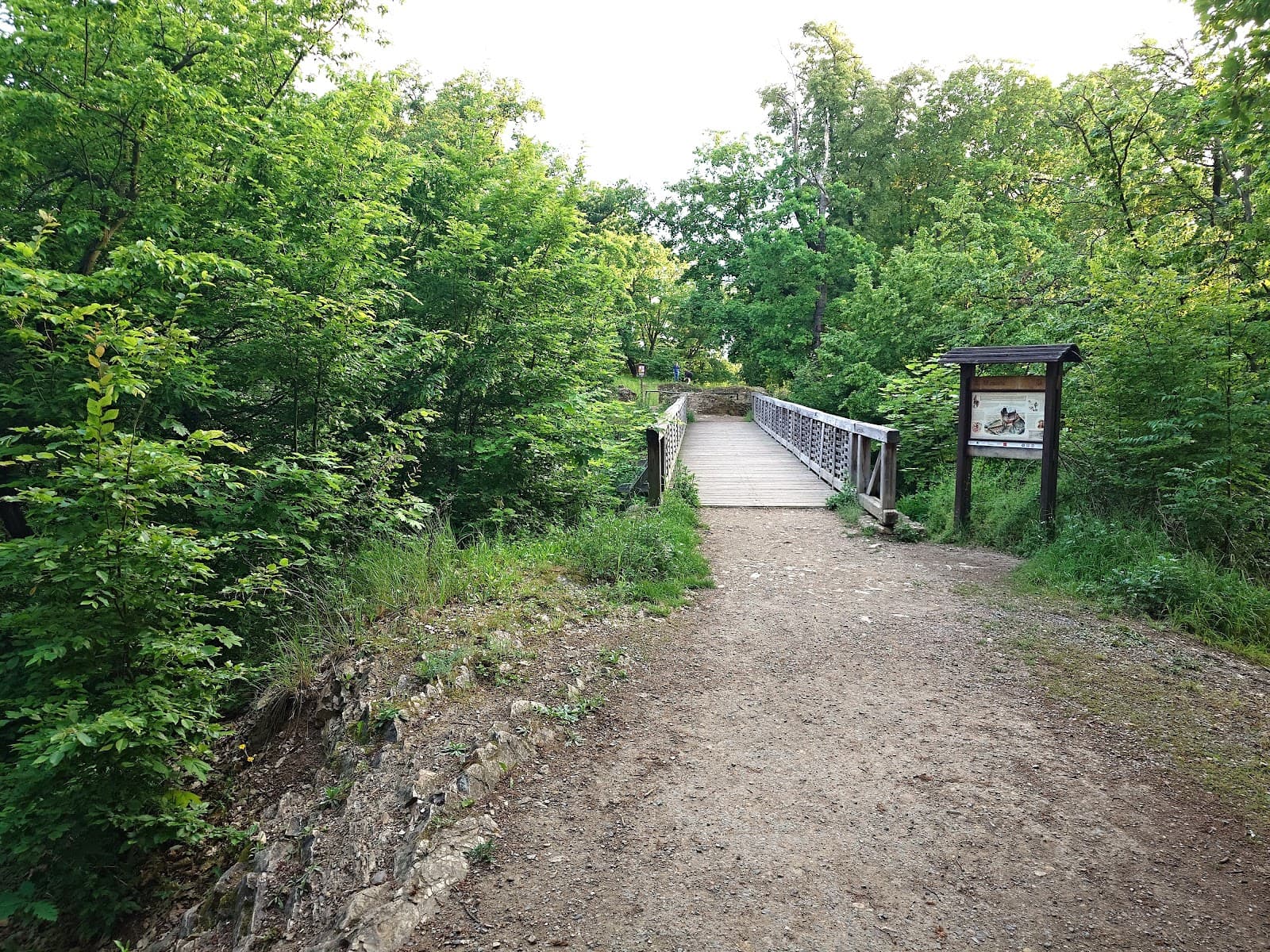 Kunratický les - Image 1