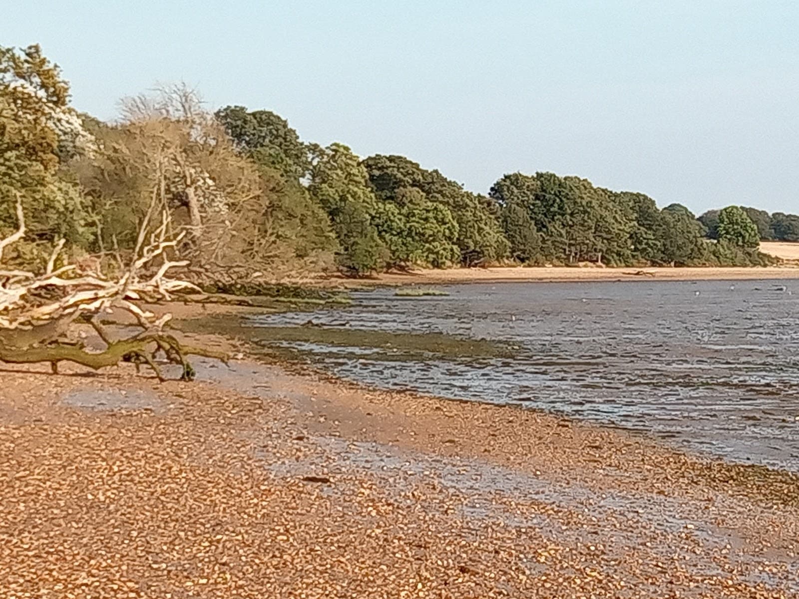 Holbrook RHS Village - Image 1