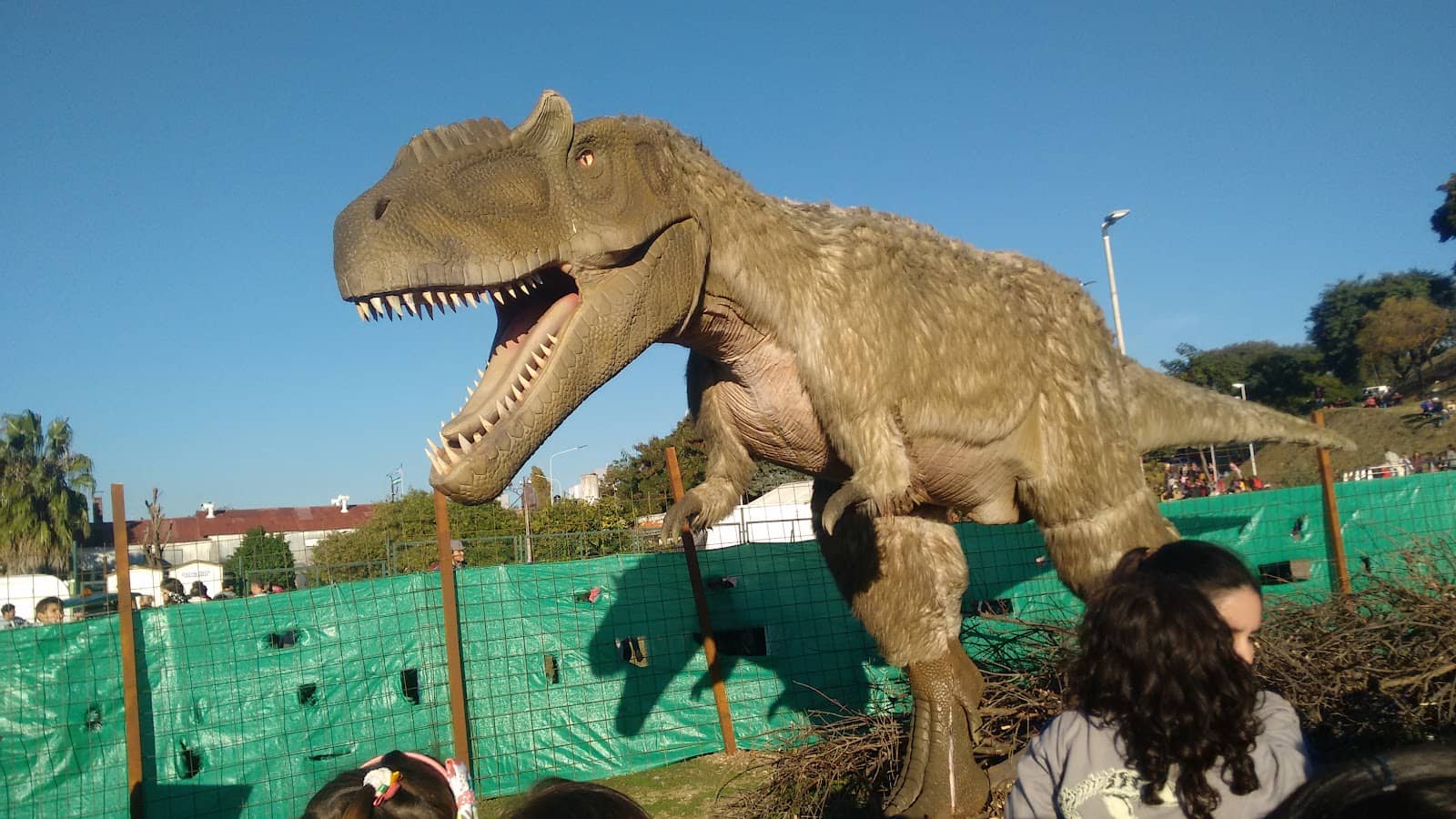 Panoramic Bus Tour Departure