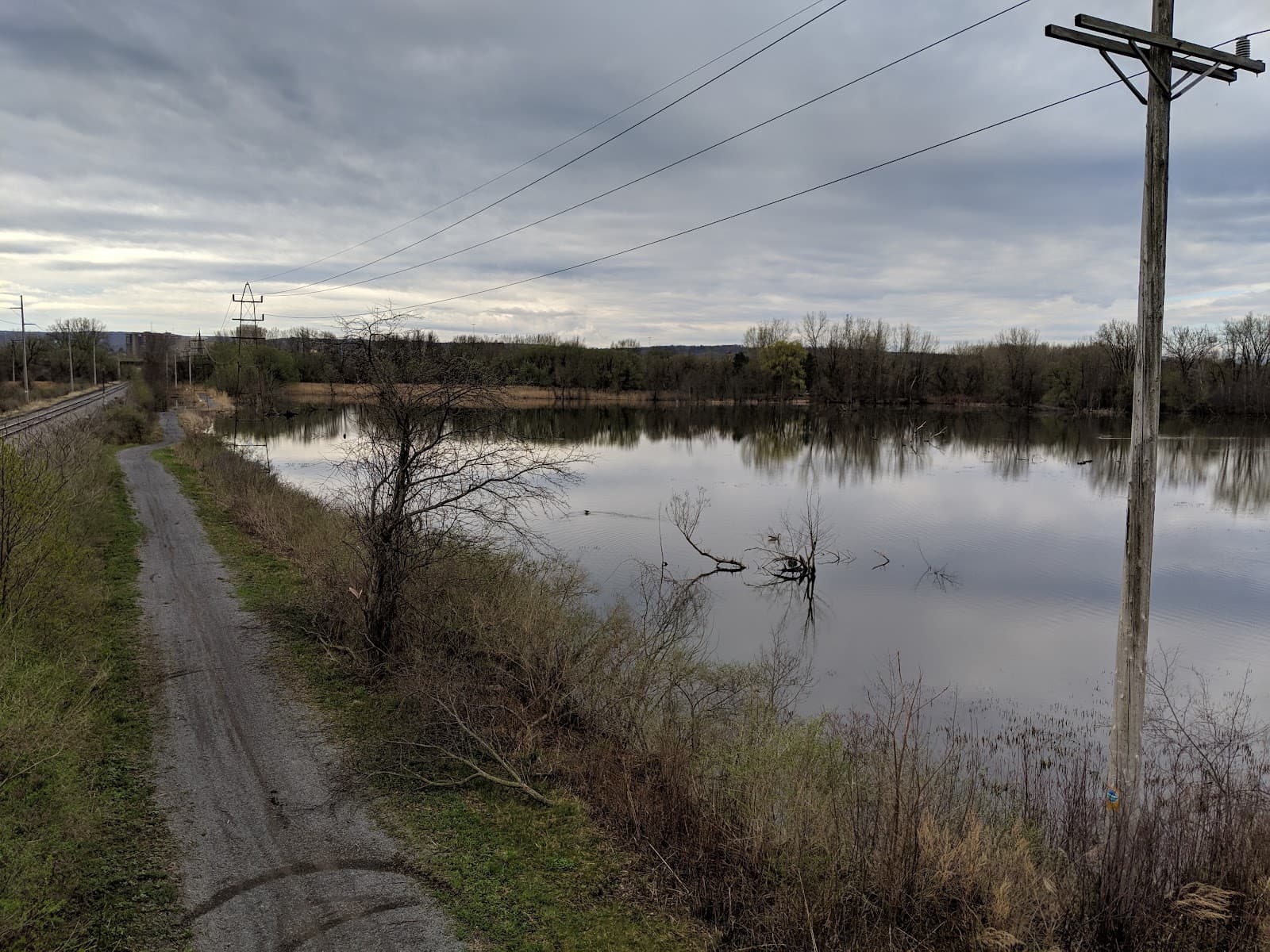 Utica Marsh WMA - Image 1