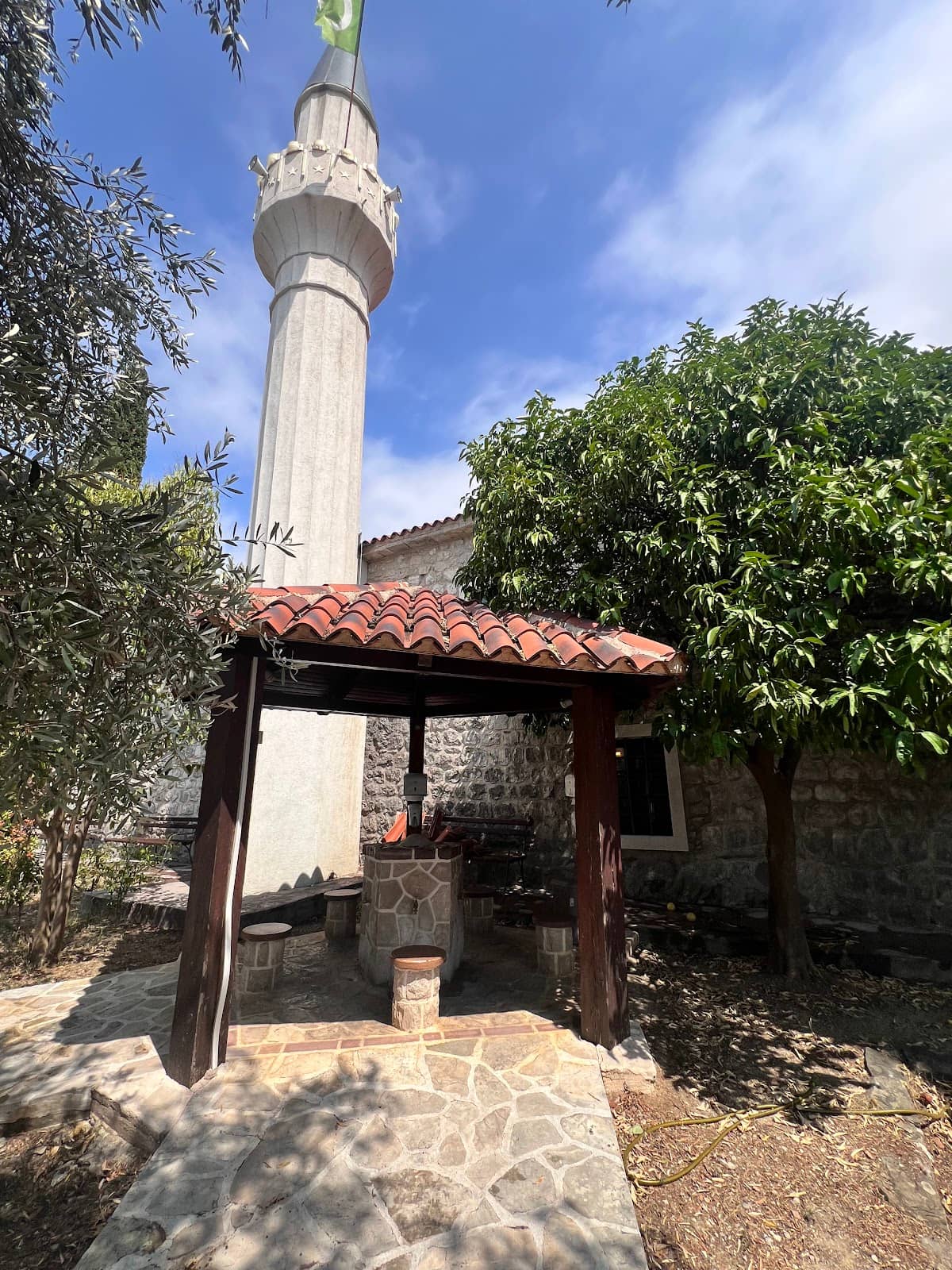 Vertical photo