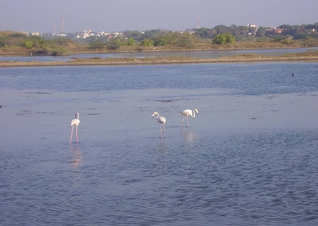 Fudam Bird Sanctuary - Image 1