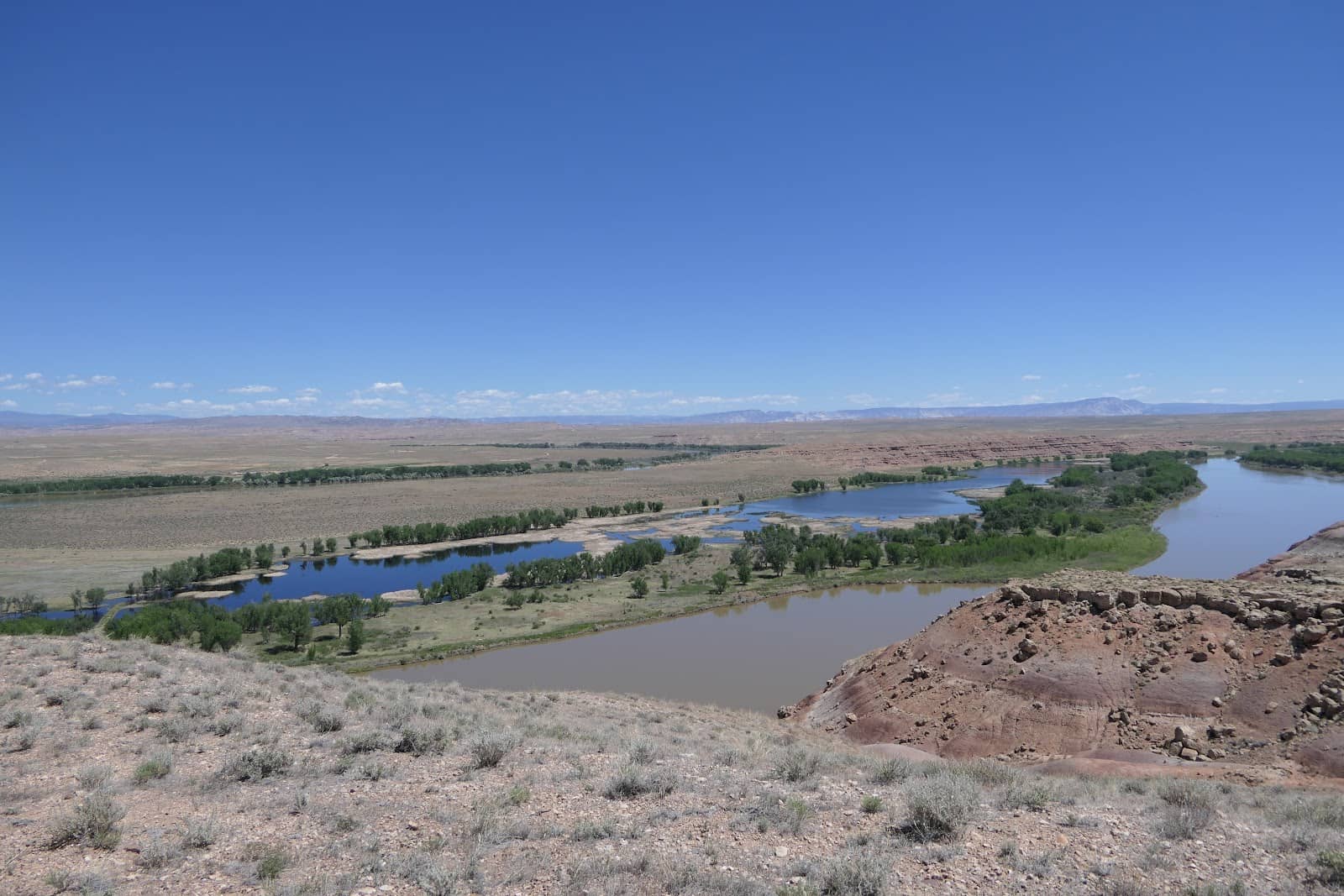 Birdwatching Paradise