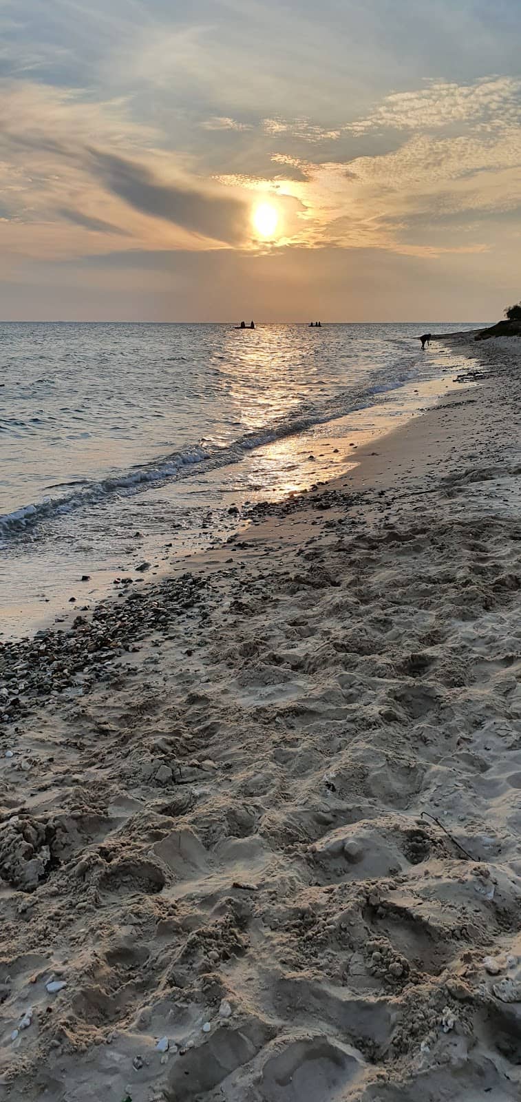 Cultural Melting Pot