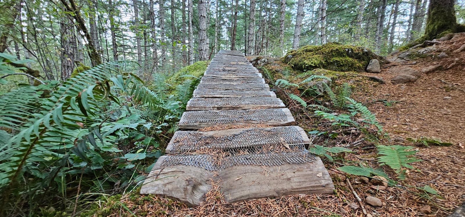 Broom Hill Summit - Image 1