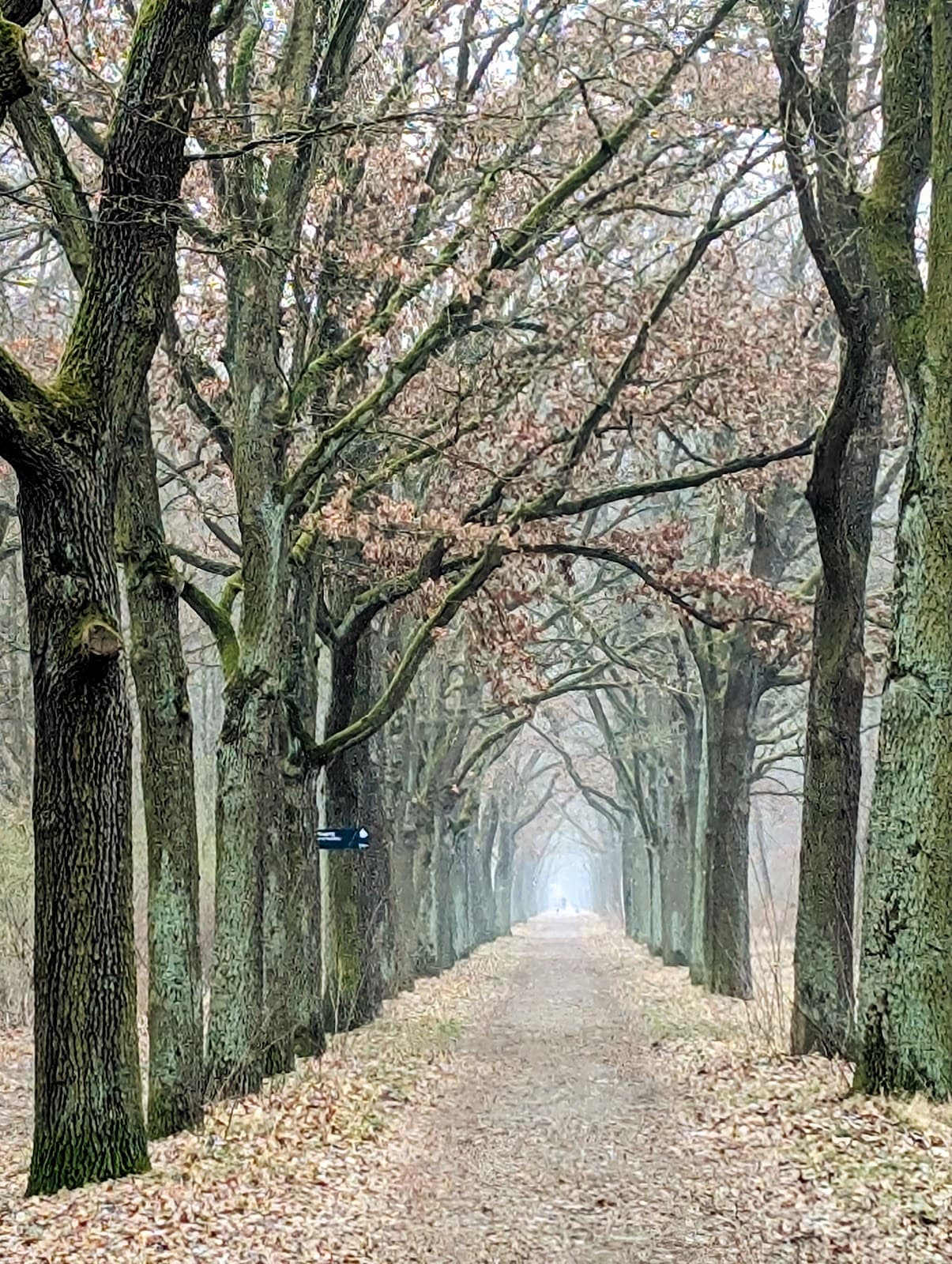 Volkspark Wuhlheide - Image 1