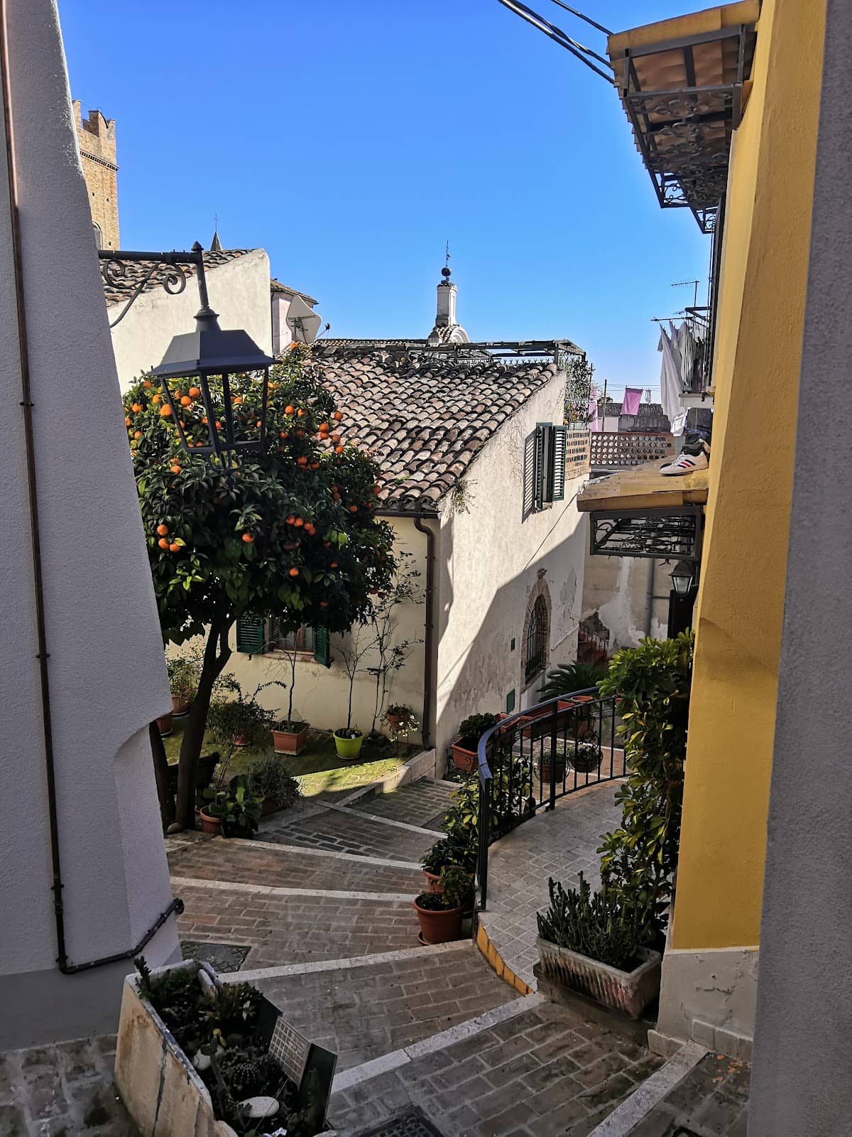 Vertical photo