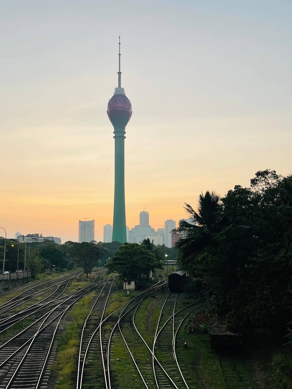 Vertical photo