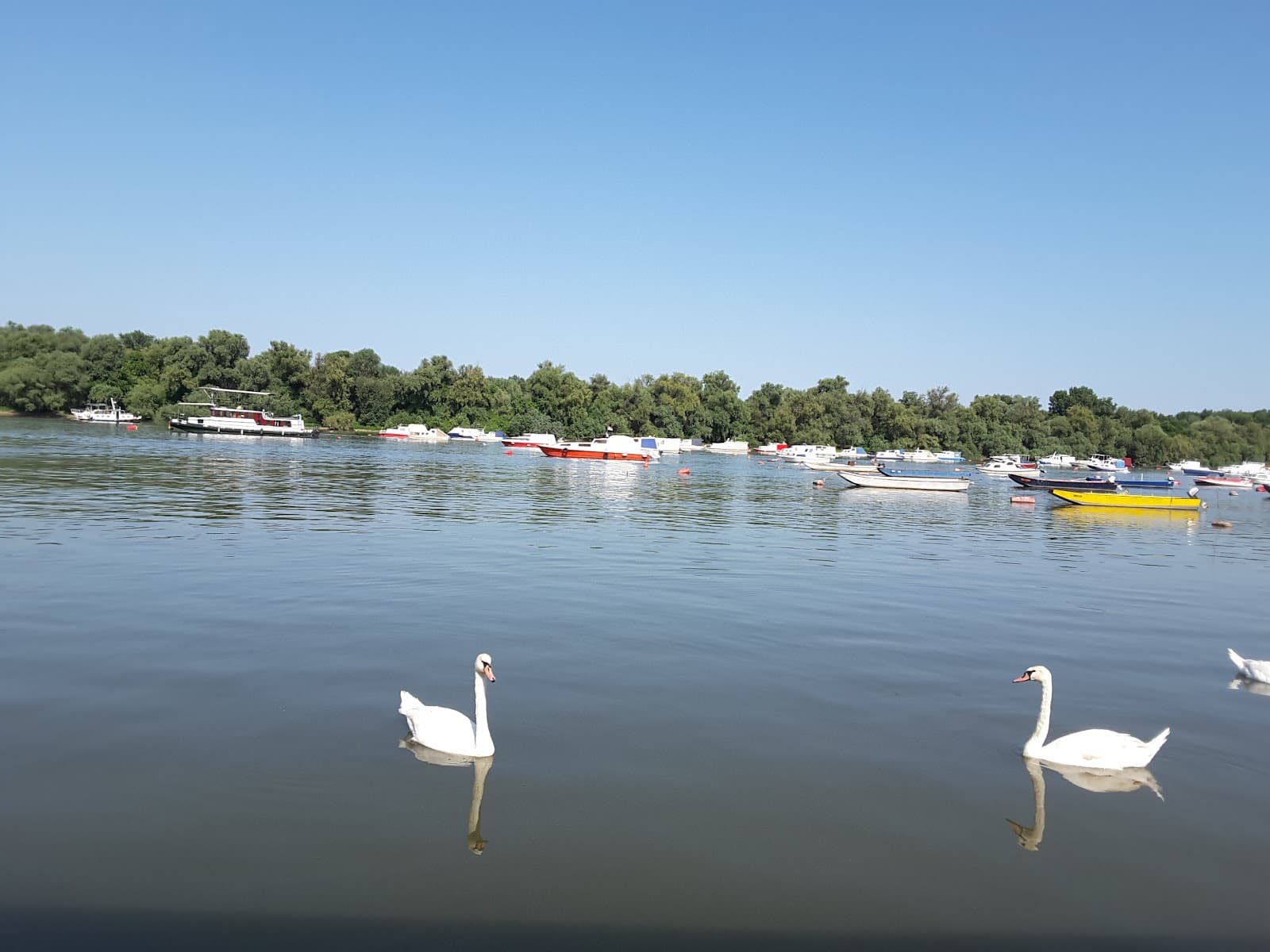 Zemun Quay Kej Oslobodjenja - Image 1